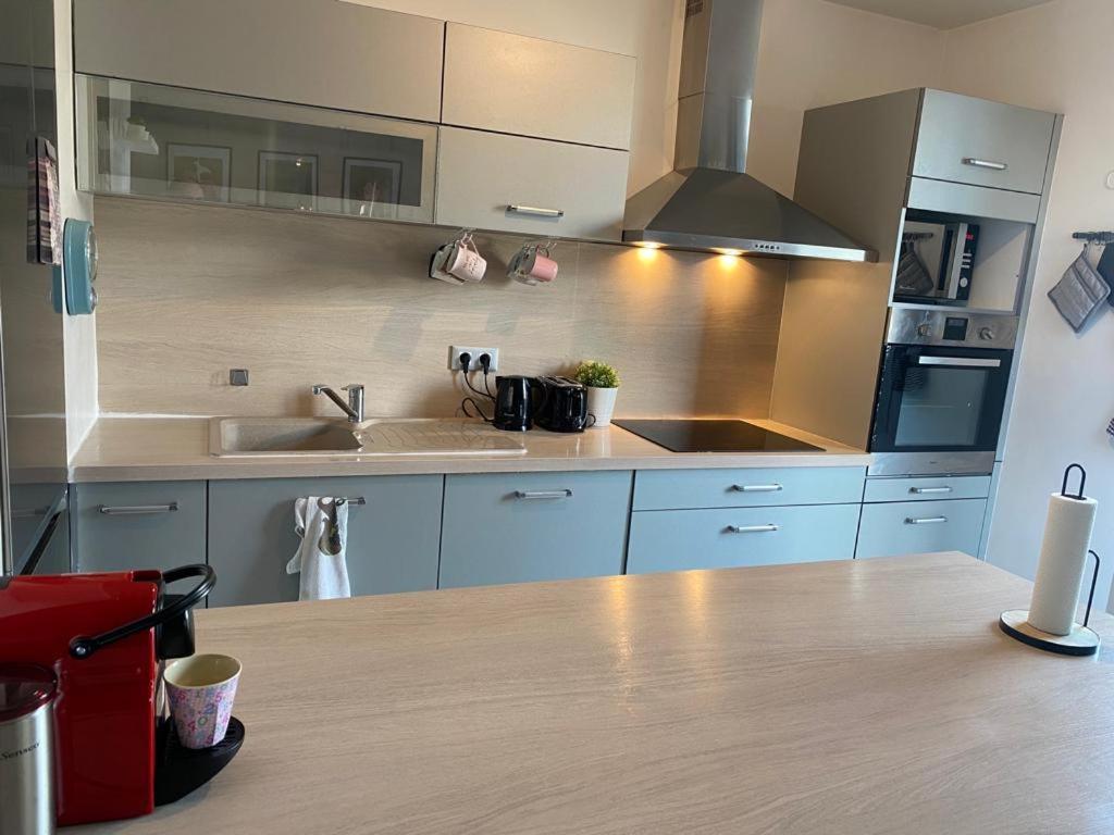 Appartement 80M2, Terrasse Sud, Metro 7 Direction Louvre A 8Minutes, Parking Sous-Sol, Proche Paris-Bercy 塞纳河畔伊夫里 外观 照片
